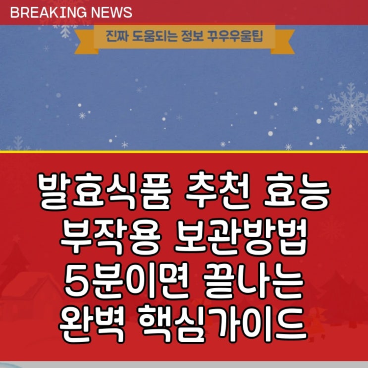  발효식품 추천 효능 부작용 보관방법 5분이면 끝나는 완벽 핵심가이드