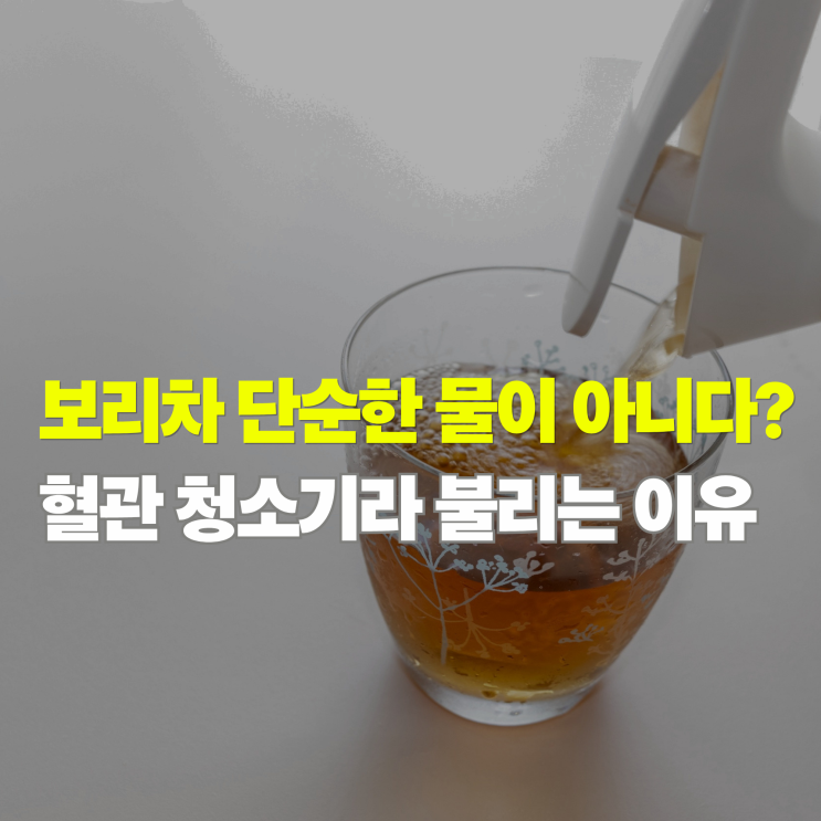  보리차 효능 5가지, 생수 대신 매일 마셨더니 내 몸에 생긴 '놀라운 변화'