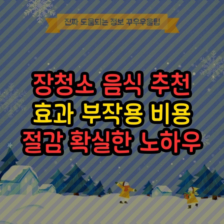  장청소 음식 추천 효과 부작용 비용 절감 확실한 노하우