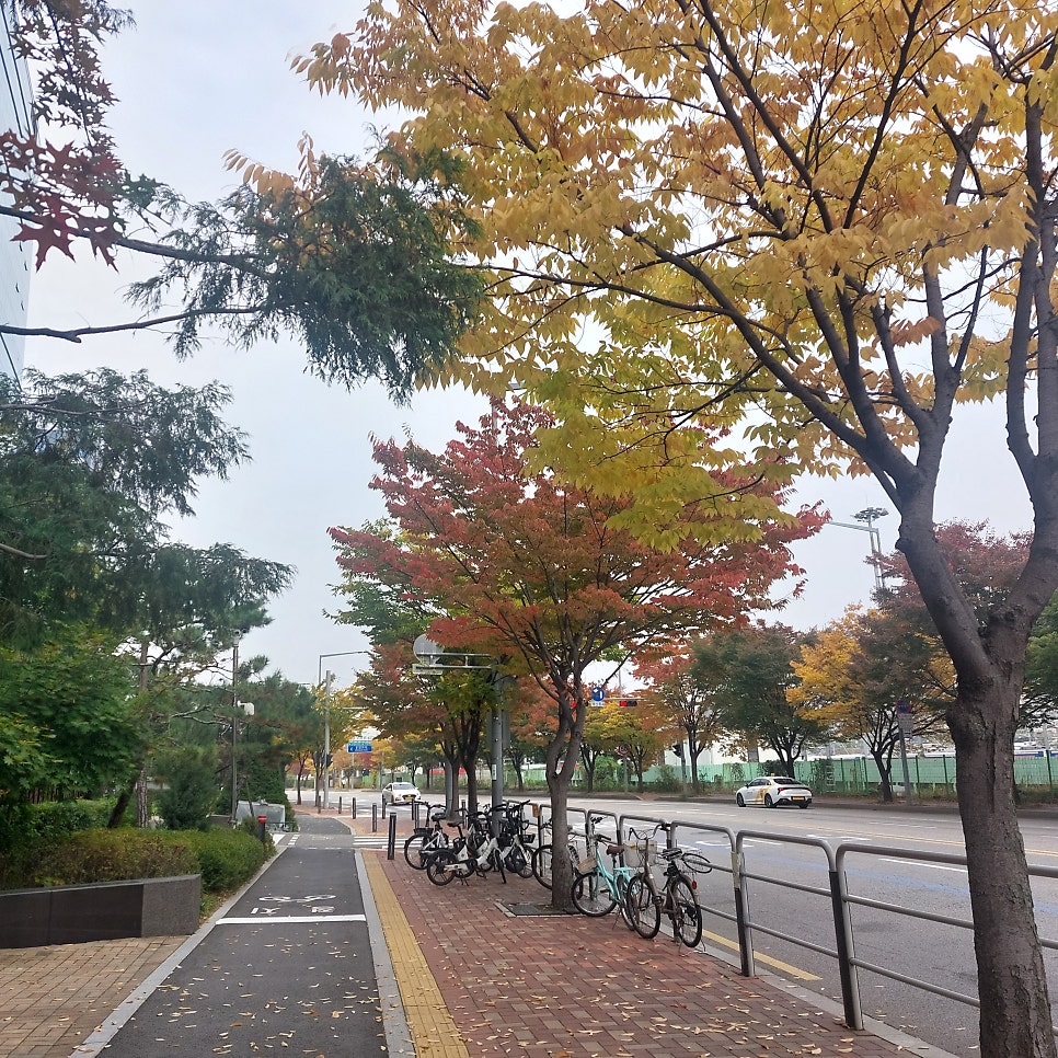 서당골 상암점 사진 2