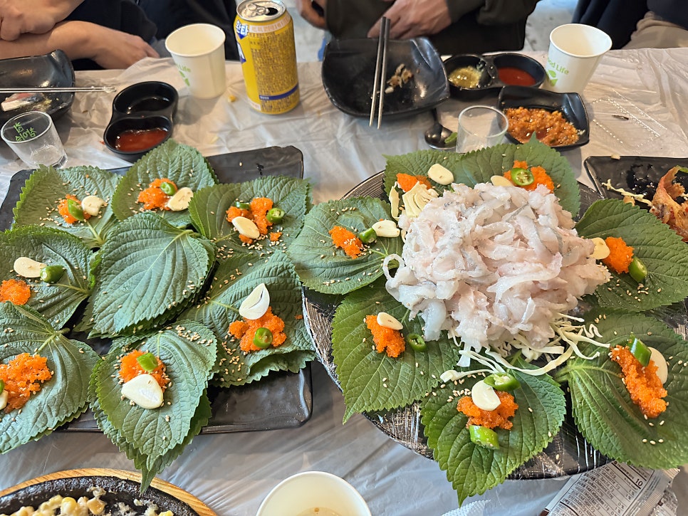 회쳐모여 사진 6