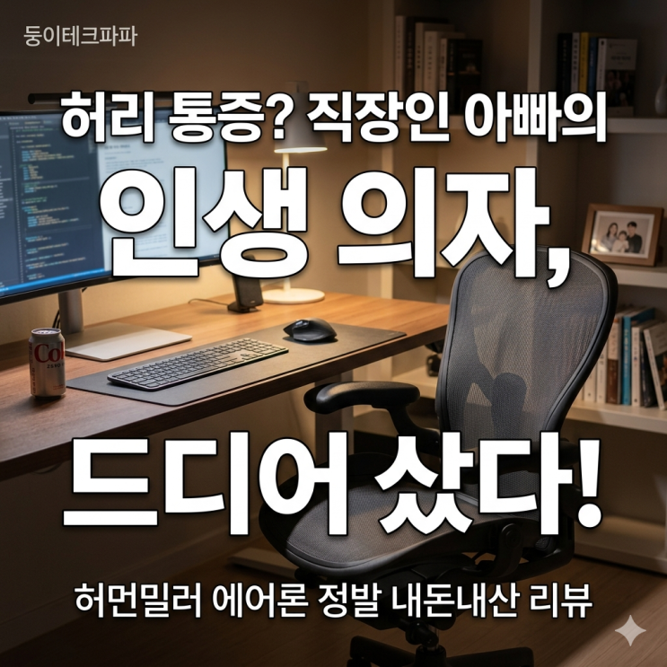 허먼밀러 에어론 국내 정발 내돈내산 후기, 허리디스크 직장인 아빠의 현실 리뷰