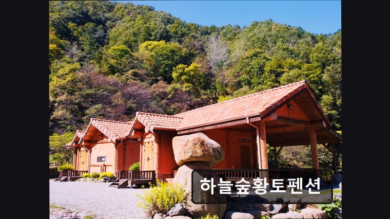 사진 2