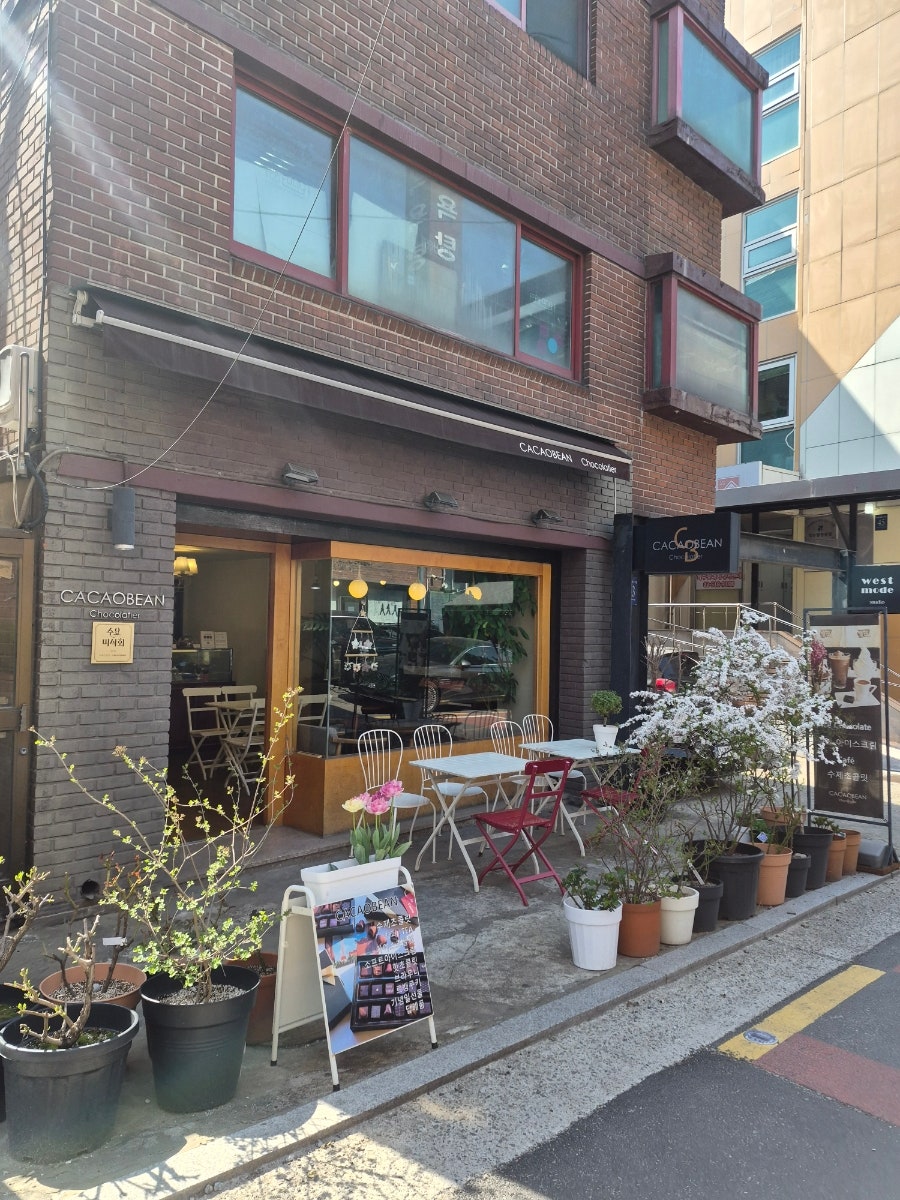 카카오빈 사진 1