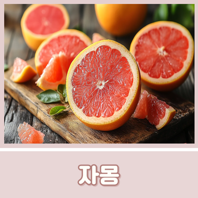 자몽 효능과 약 복용 시 주의점 확인하는 가이드