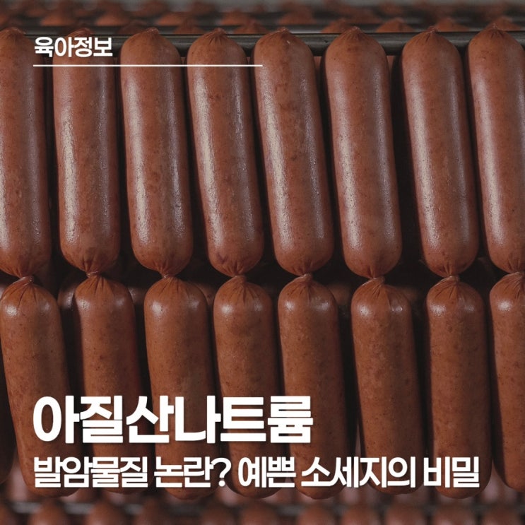  아질산나트륨 발암물질 걱정? 식품안전나라 정보와 무첨가 소세지 추천