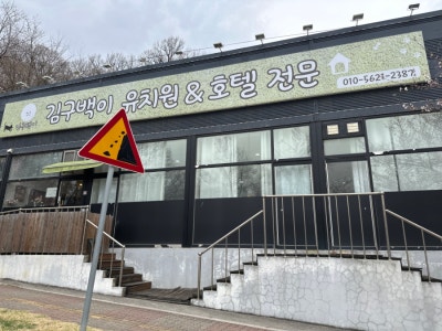 사진 3