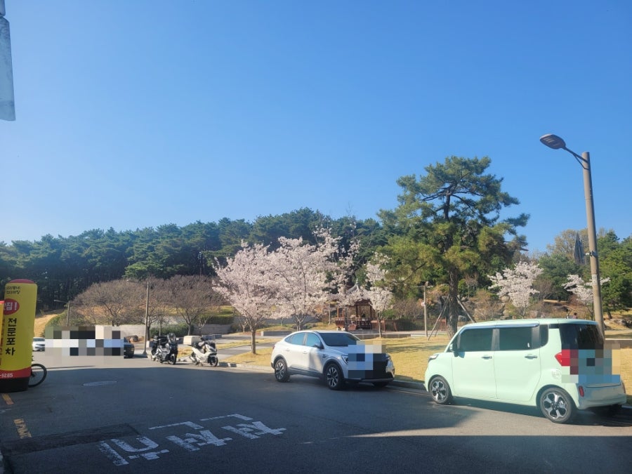 더더치즈닭갈비 사진 3