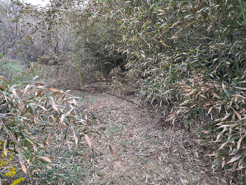 팔양산 사진 6