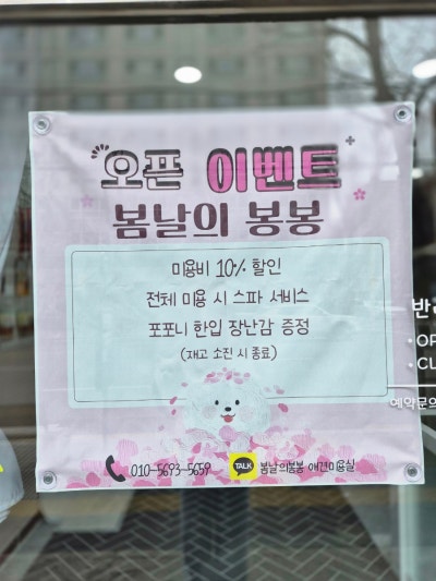 사진 5
