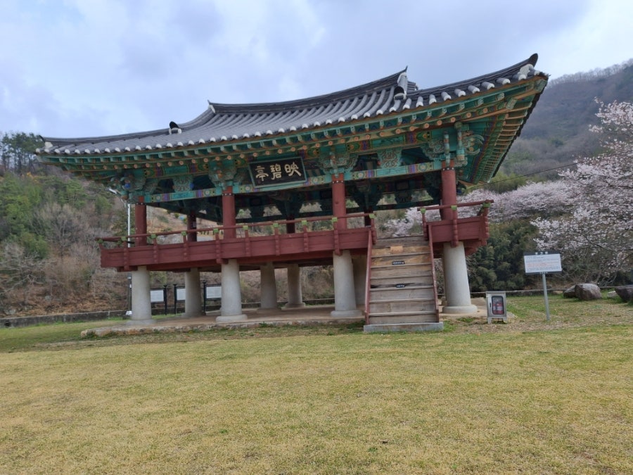 연주산 사진 5
