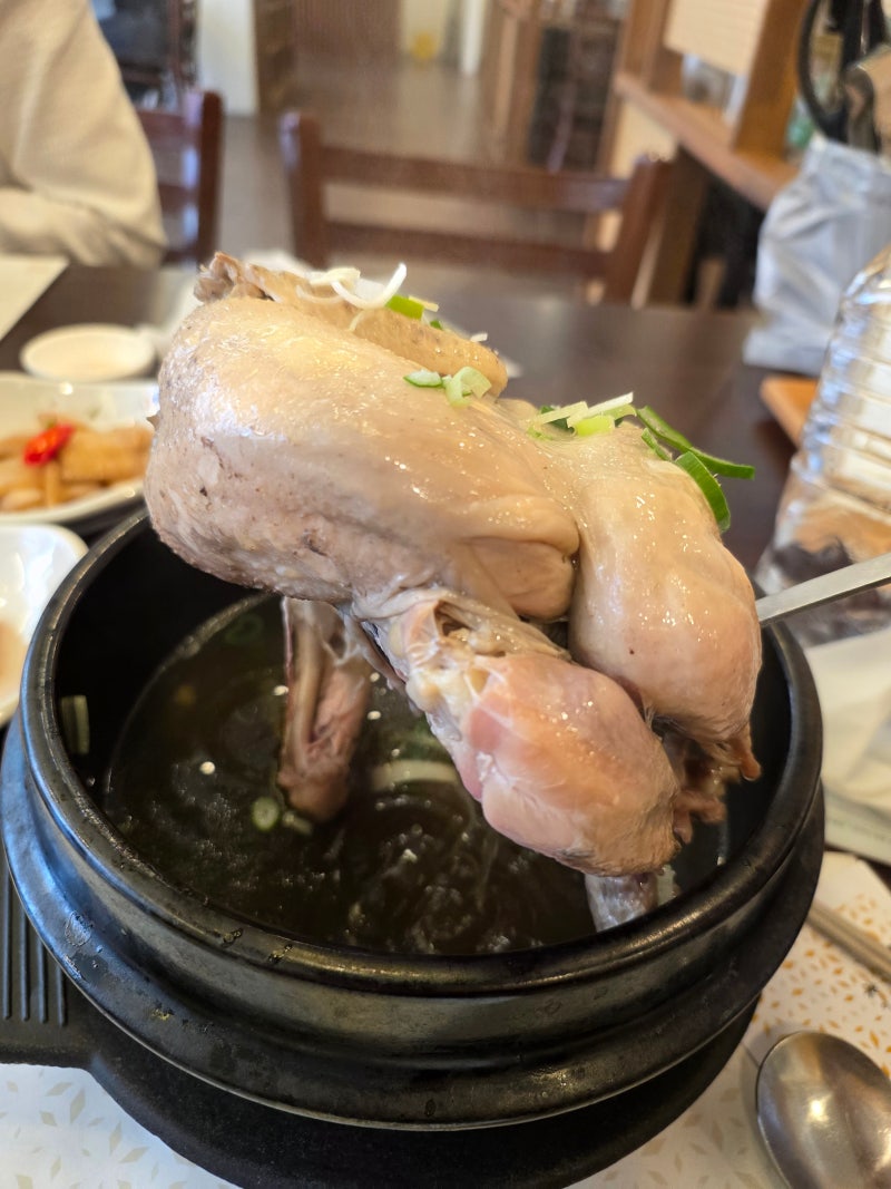 건강식 성서제1능이버섯능이백숙