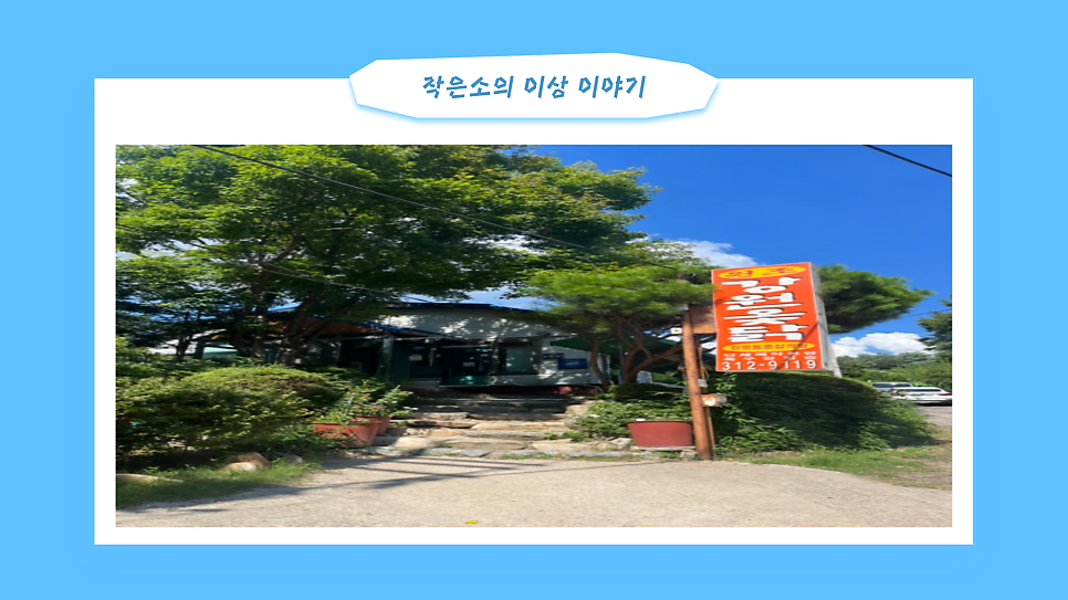 강원옻닭 사진 5