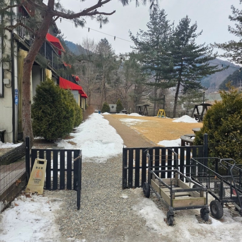 사진 3