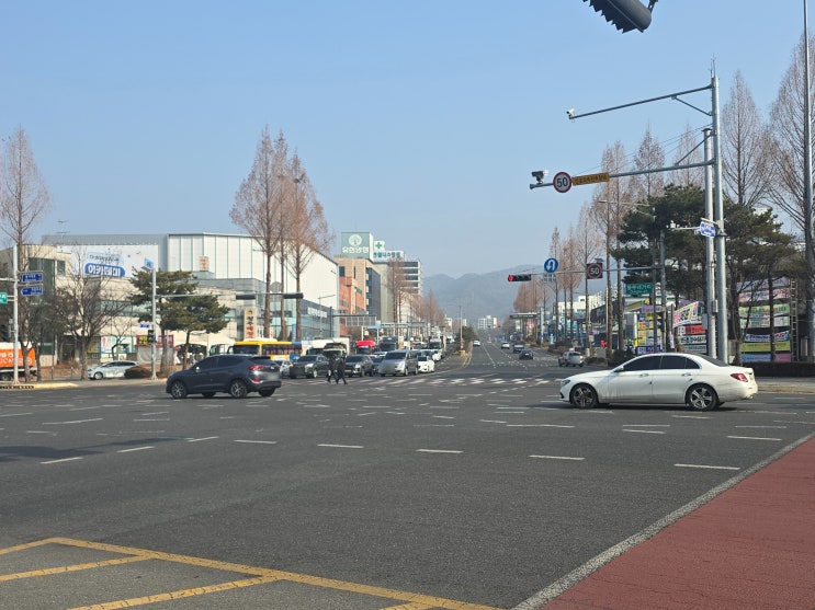  "차량 2부제 8일 시작?" 공공기관 의무·민간 5부제 대상·과태료 핵심 요약
