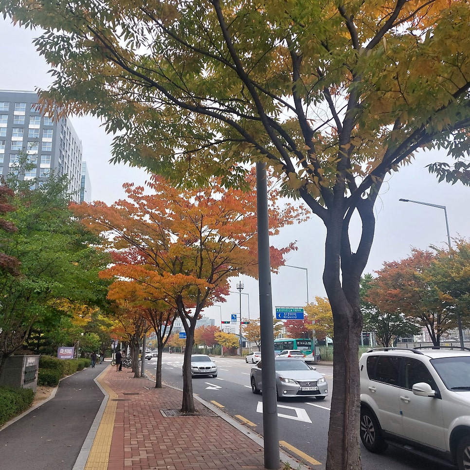 서당골 상암점 사진 1
