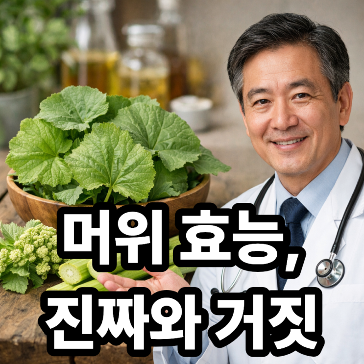  머위 건강 효과, 의사가 말하는 진실! 과장과 실제 효능 구분하기