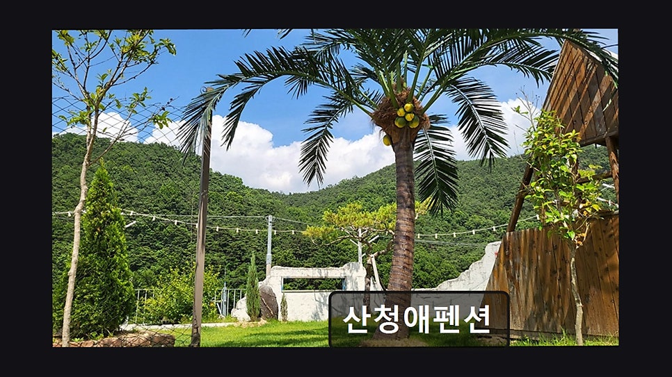 산청애펜션 사진 2