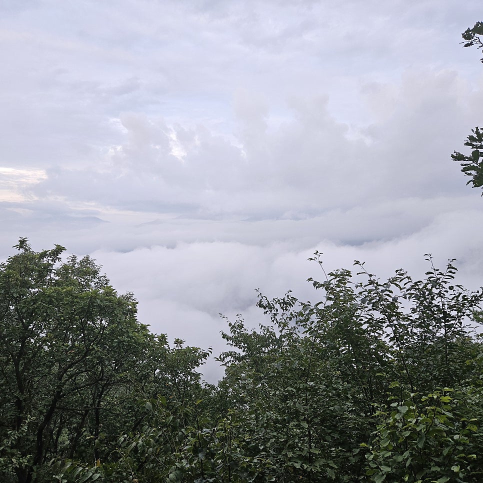 개군산 사진 3