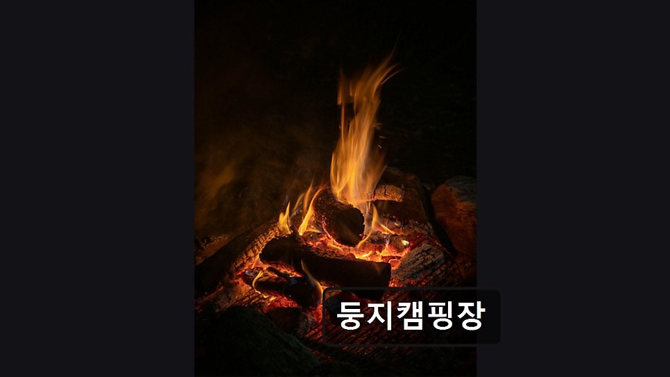 둥지캠핑장 사진 2