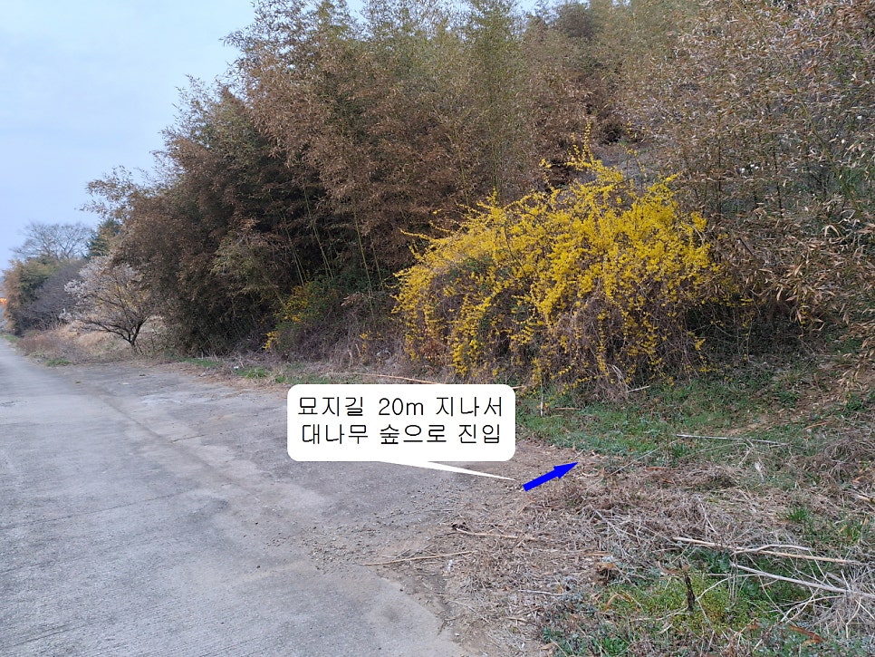 팔양산 사진 5