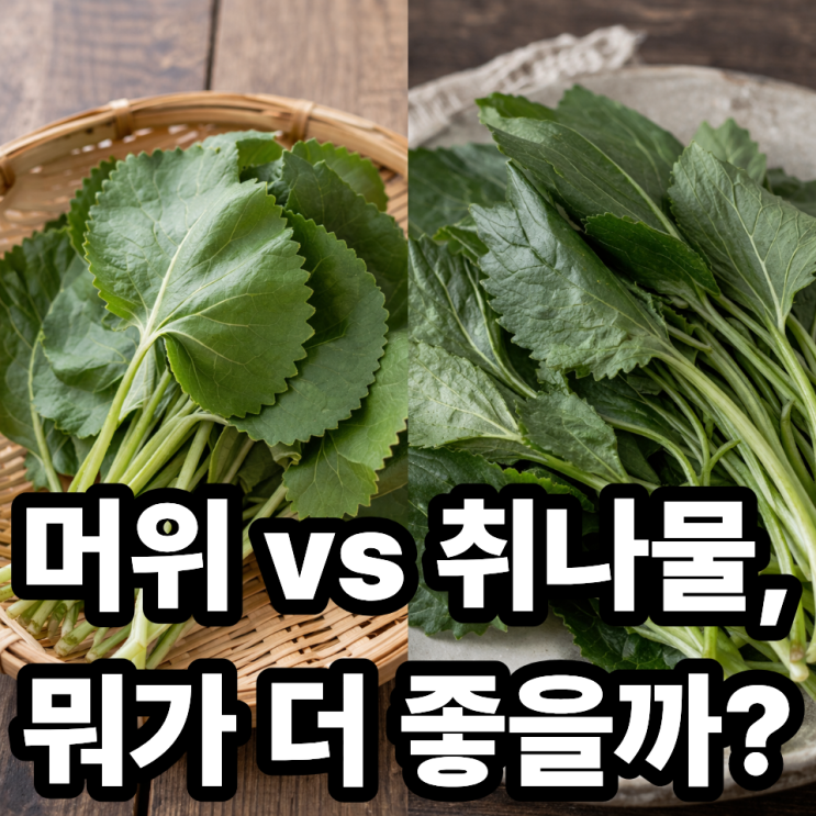  머위 vs 취나물  영양 비교와 건강 효과 차이 한눈에 정리