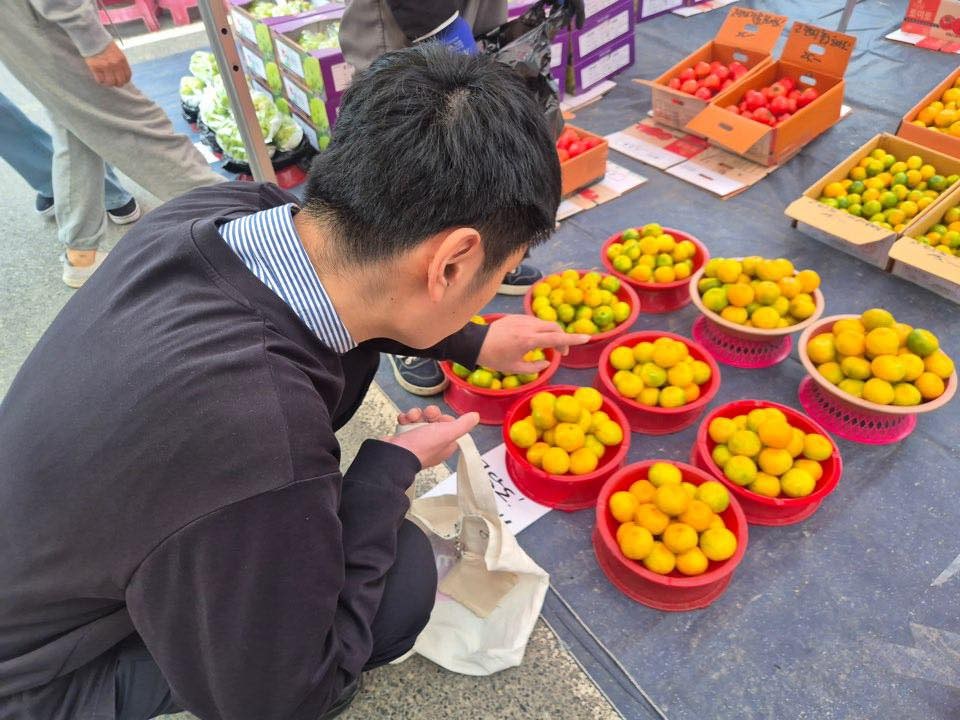 다운장 사진 3