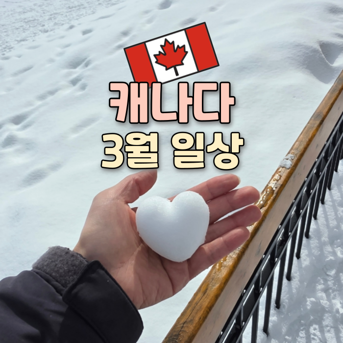   March | 9m 눈 내린 밴프 캐나다 스키장 직원 일상