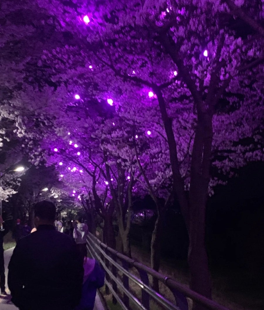 삼룡이커피 양평강상점 사진 4