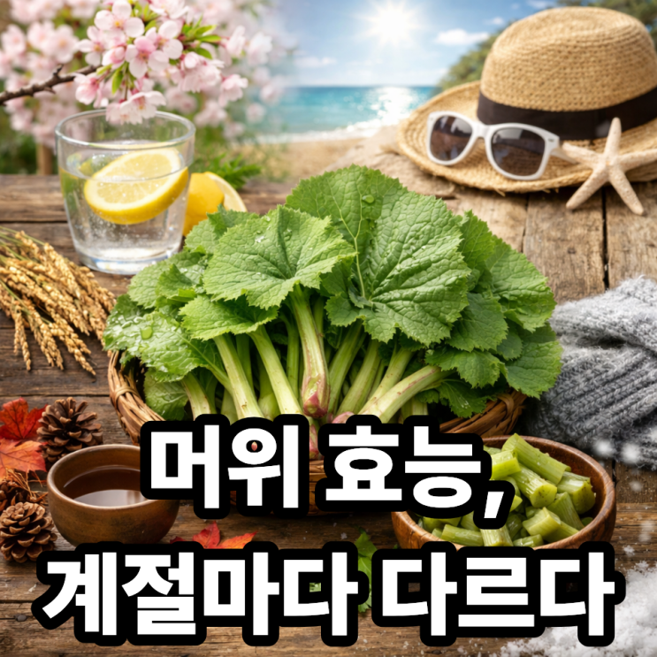  머위 언제 먹으면 좋을까  계절별 건강관리와 섭취 타이밍