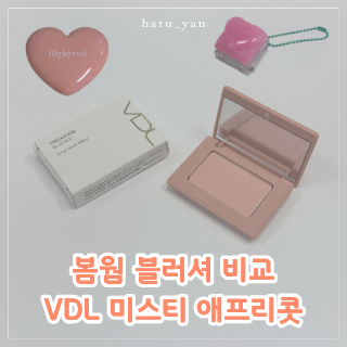 봄웜라이트 블러셔 추천, VDL 미스티 애프리콧 발색 비교 후기