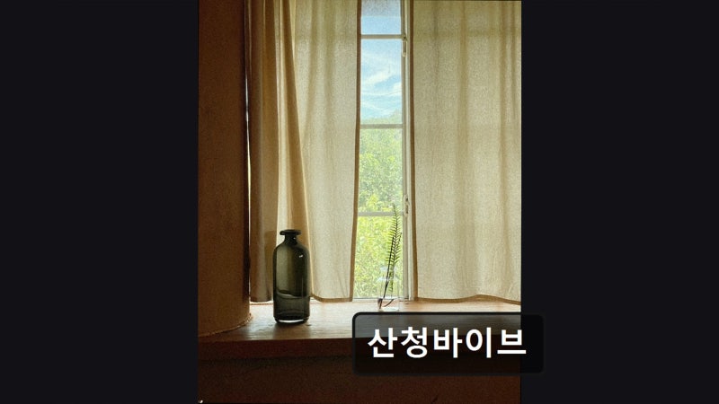 사진 3
