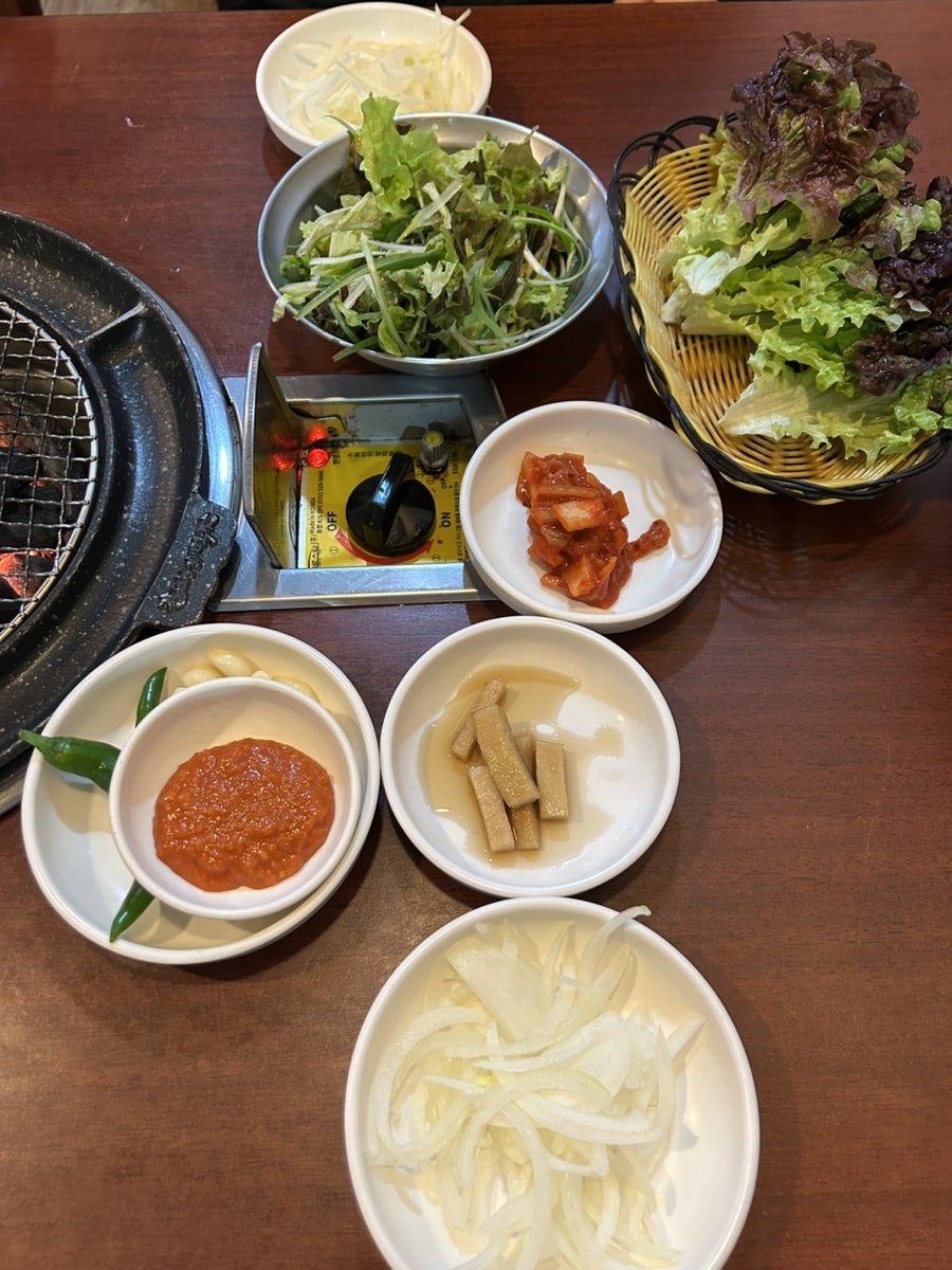 갈매기먹짱 사진 3