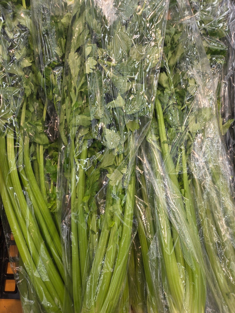 샐러리 효능, 샐러리 장아찌 만들기!