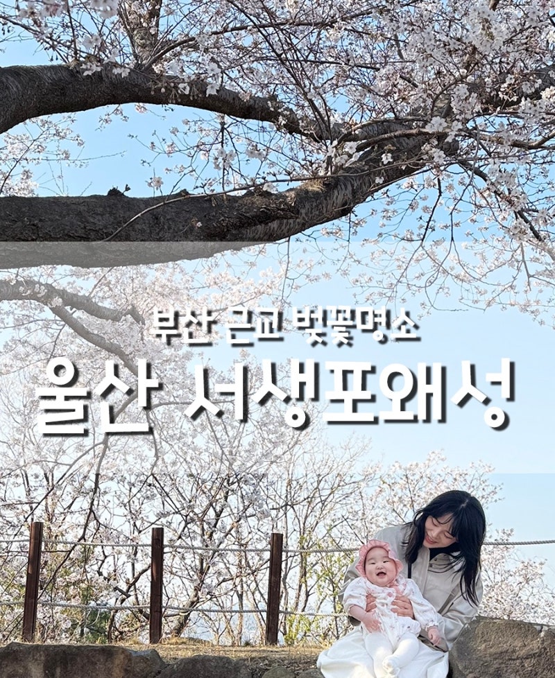 사진 3