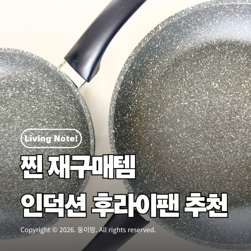 내돈내산 후라이팬 추천 | 몇년째 재구매중인 모던하우스 레인포레스트 인덕션 팬