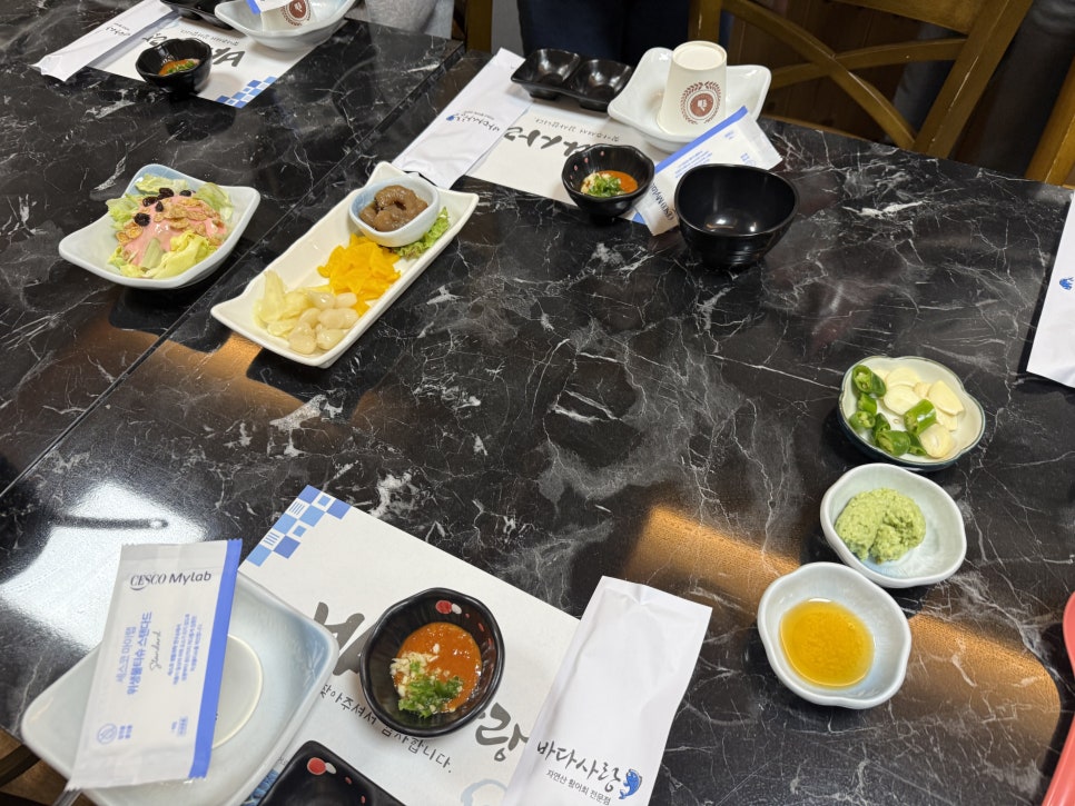 허플로 사진 5