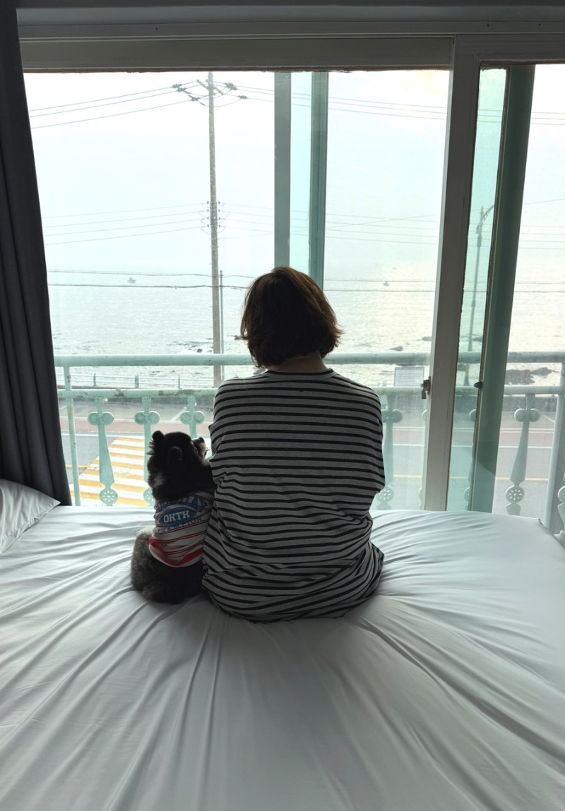 사진 6