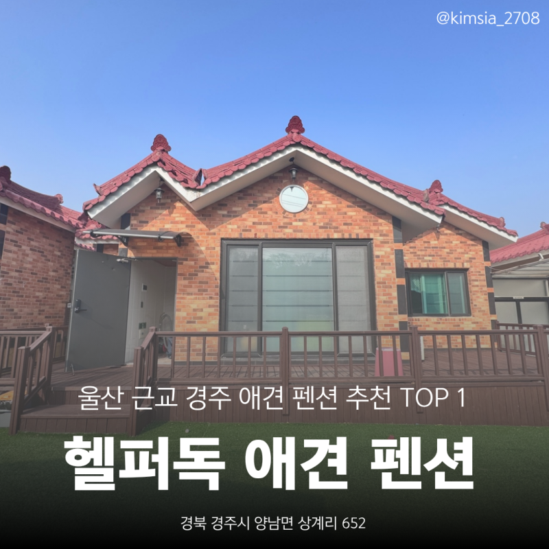 사진 1