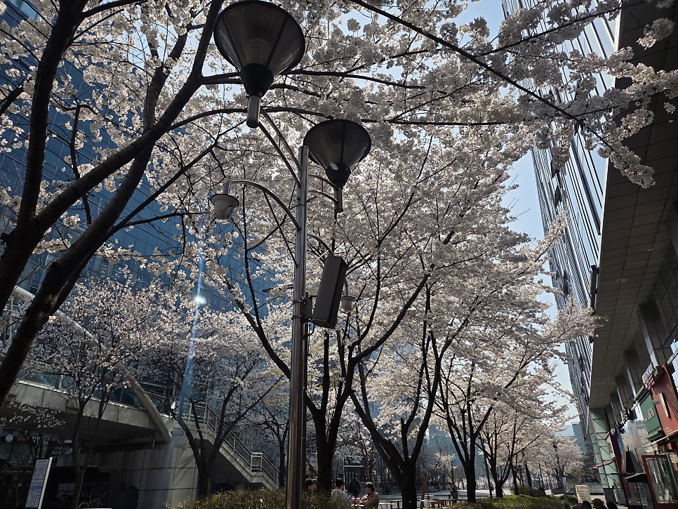 백리향양꼬치 부개점 사진 1