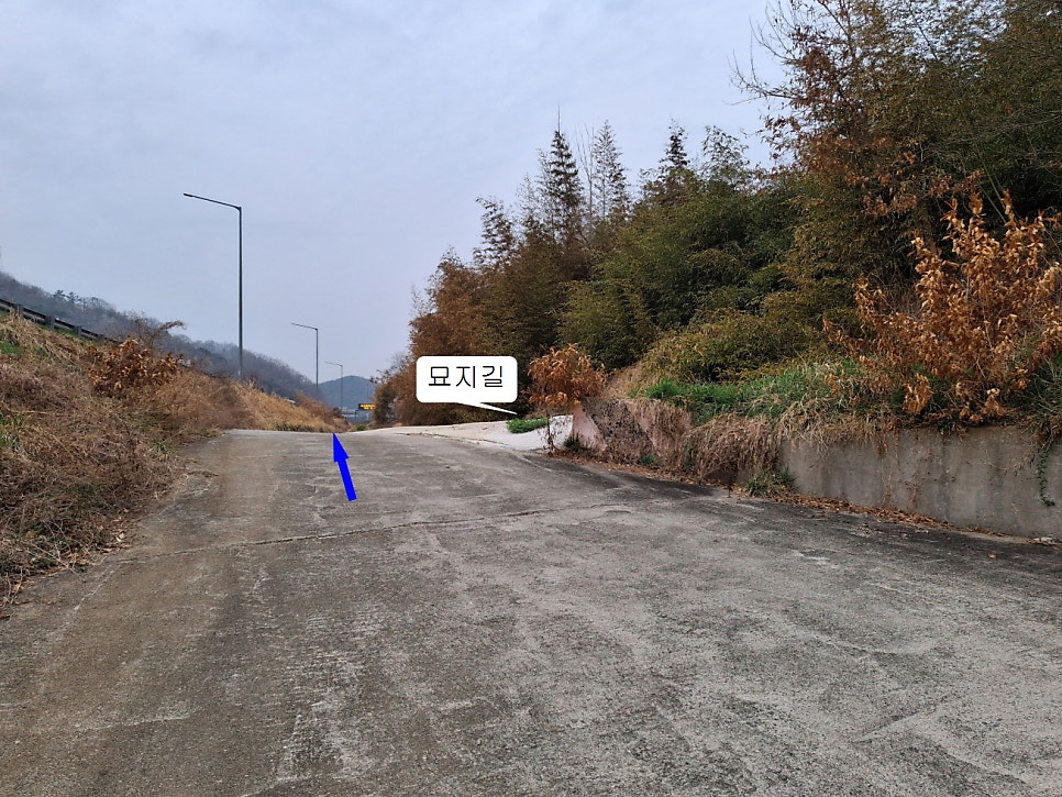 팔양산 사진 4