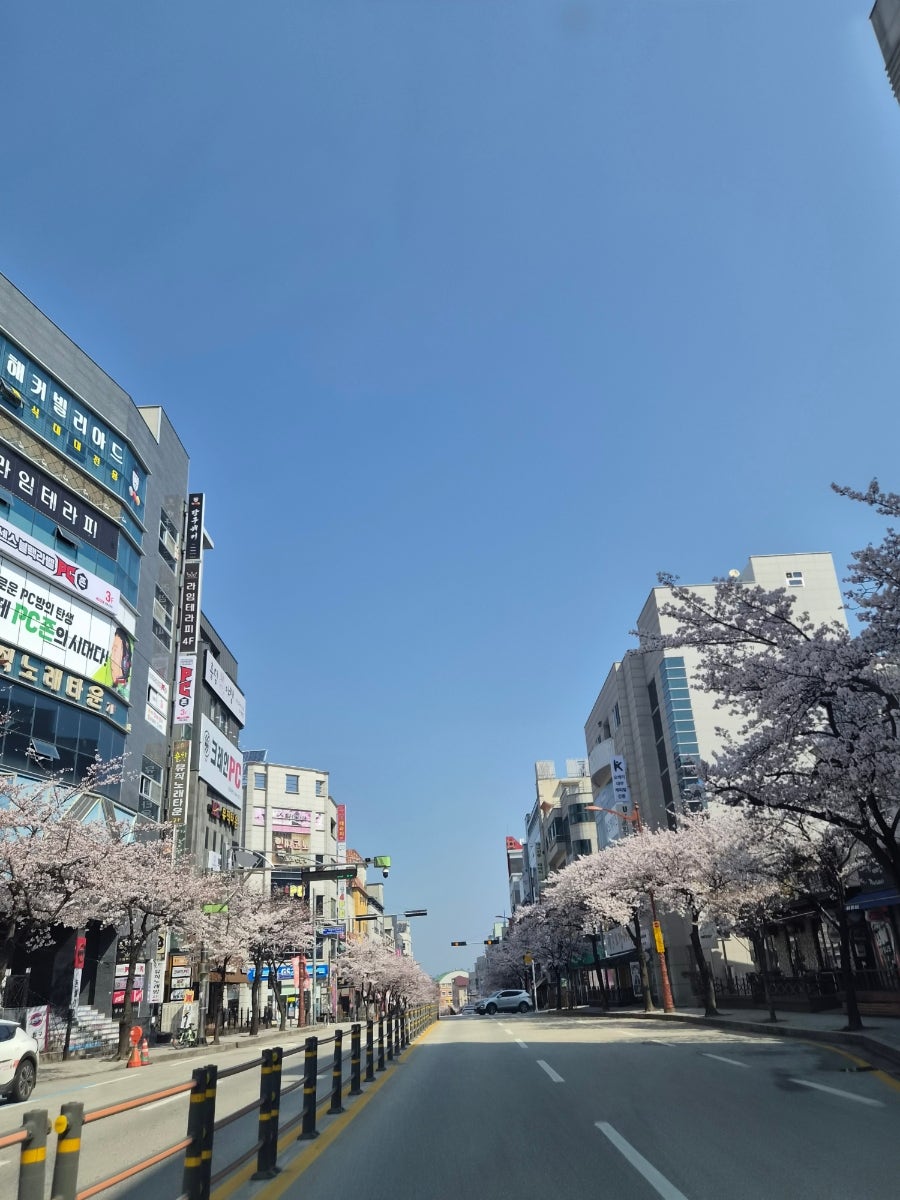 카페르부아폼므 사진 3