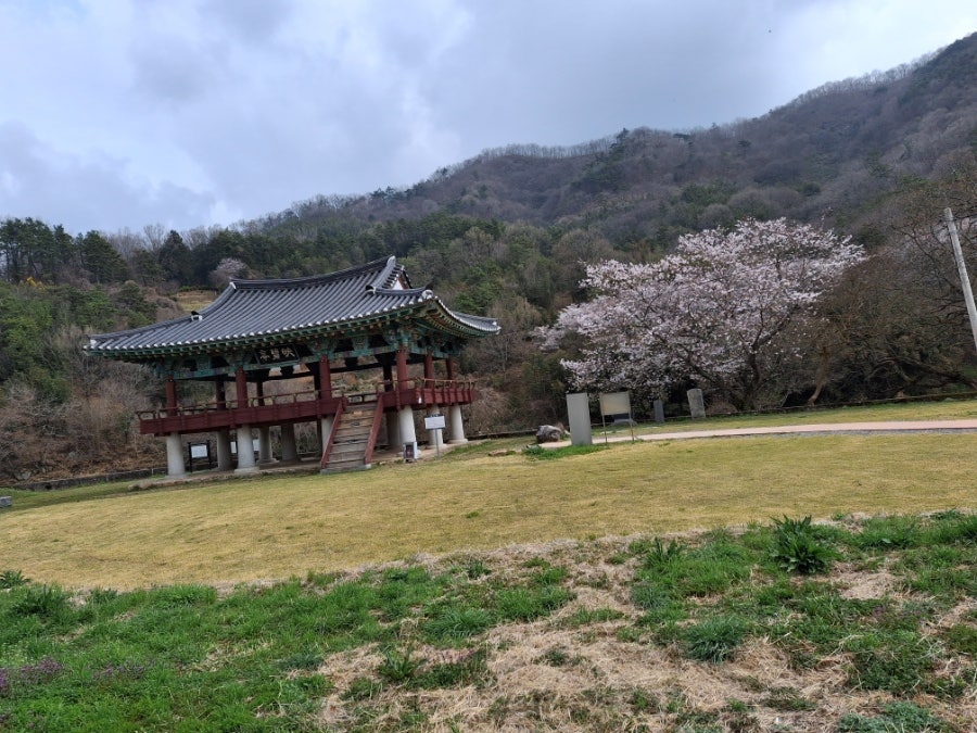 연주산 사진 4