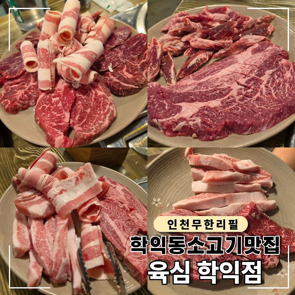 육심 학익점 사진 1