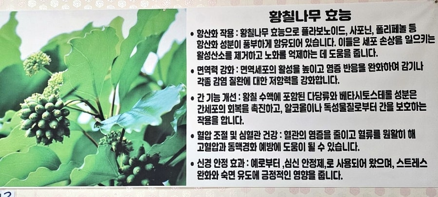 고가네추어탕 사진 5