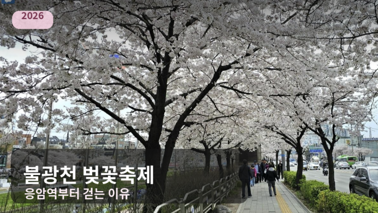 2026 불광천 벚꽃축제, 응암역부터 걸어야 덜 아쉬운 이유