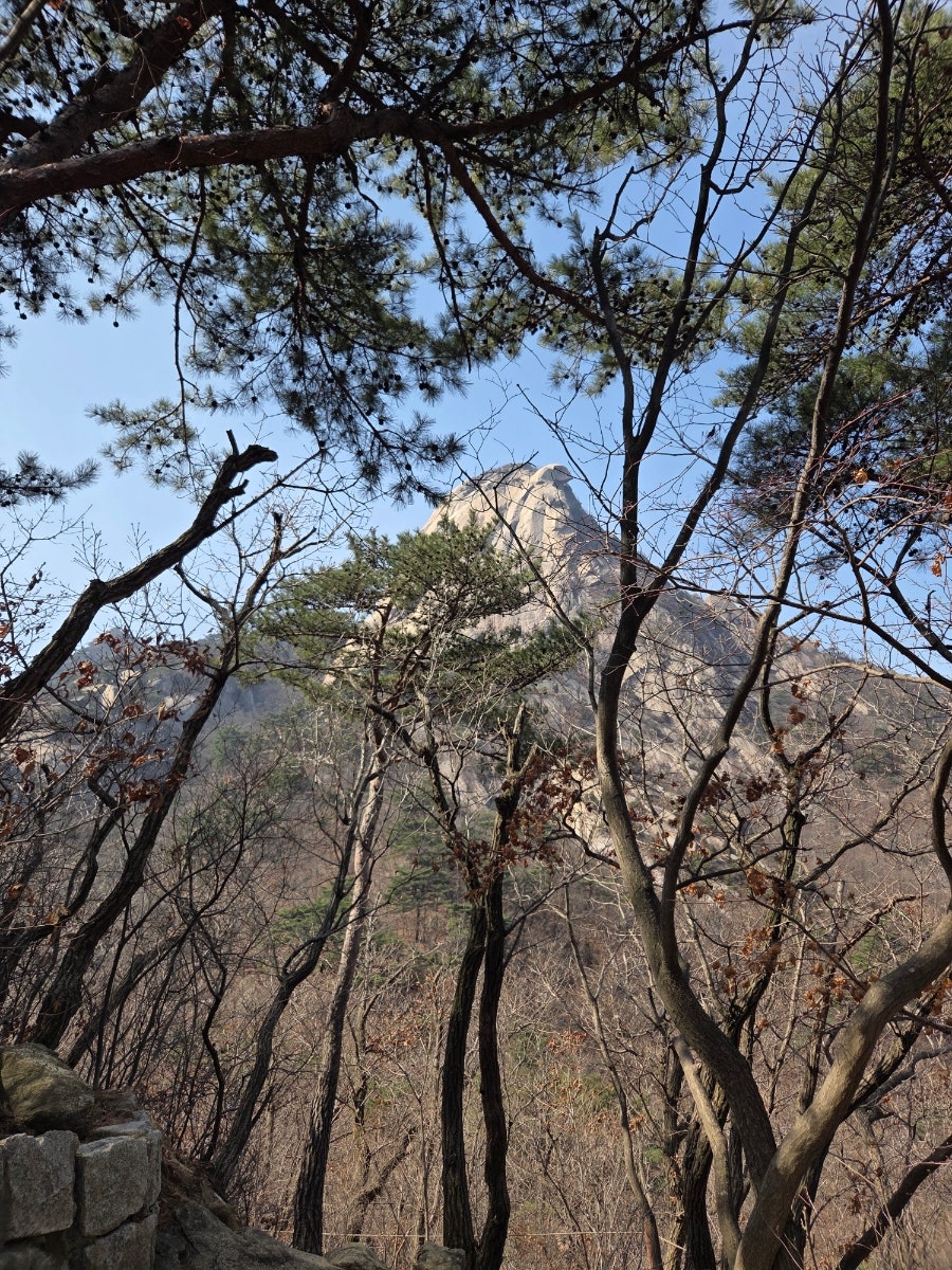 금천옥 사진 5