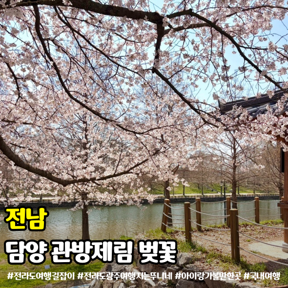 사진 10