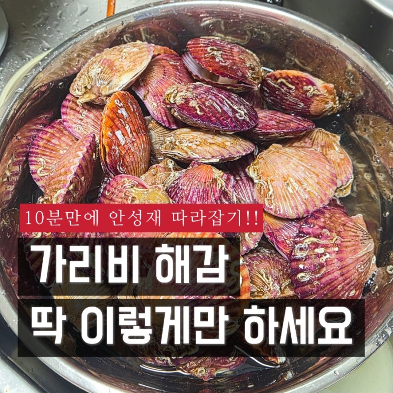 가리비 해감 법 식초 맛소금 시간 어떻게 할까? ( 가리비찜, 홍가리비버터구이 )