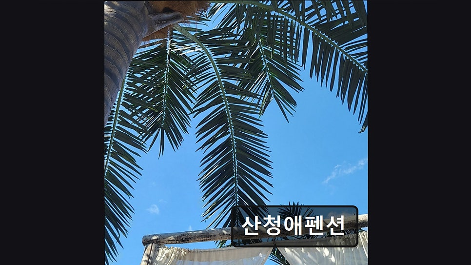 산청애펜션 사진 6